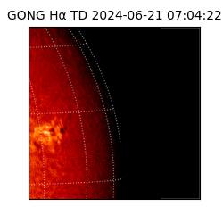 gong - 2024-06-21T07:04:22