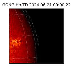 gong - 2024-06-21T09:00:22