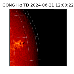 gong - 2024-06-21T12:00:22