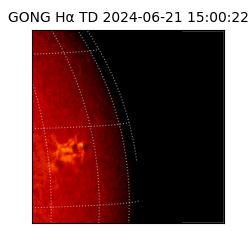 gong - 2024-06-21T15:00:22