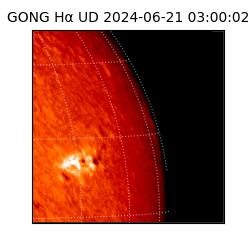 gong - 2024-06-21T03:00:02
