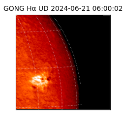 gong - 2024-06-21T06:00:02