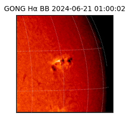 gong - 2024-06-21T01:00:02