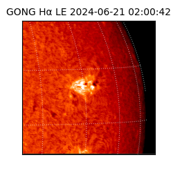 gong - 2024-06-21T02:00:42