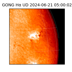 gong - 2024-06-21T05:00:02