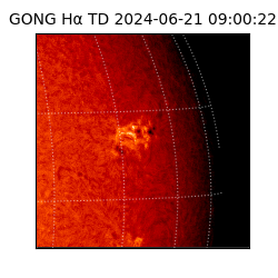 gong - 2024-06-21T09:00:22