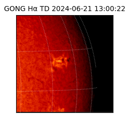 gong - 2024-06-21T13:00:22