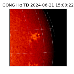 gong - 2024-06-21T15:00:22