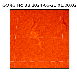 gong - 2024-06-21T01:00:02