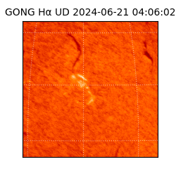 gong - 2024-06-21T04:06:02
