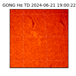 gong - 2024-06-21T19:00:22