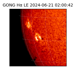 gong - 2024-06-21T02:00:42