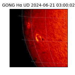 gong - 2024-06-21T03:00:02