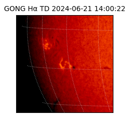 gong - 2024-06-21T14:00:22