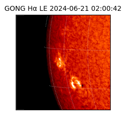 gong - 2024-06-21T02:00:42