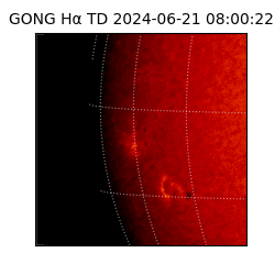 gong - 2024-06-21T08:00:22