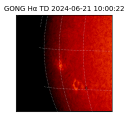 gong - 2024-06-21T10:00:22