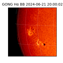 gong - 2024-06-21T20:00:02