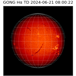 gong - 2024-06-21T08:00:22