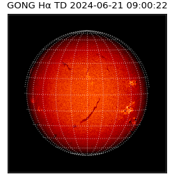 gong - 2024-06-21T09:00:22