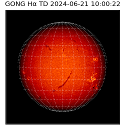 gong - 2024-06-21T10:00:22