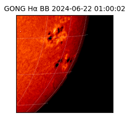 gong - 2024-06-22T01:00:02