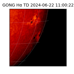 gong - 2024-06-22T11:00:22