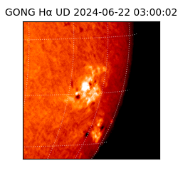 gong - 2024-06-22T03:00:02