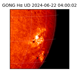 gong - 2024-06-22T04:00:02