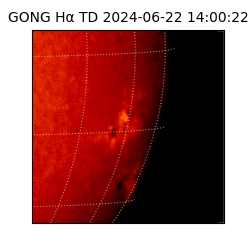 gong - 2024-06-22T14:00:22
