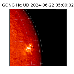 gong - 2024-06-22T05:00:02