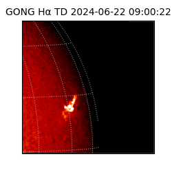 gong - 2024-06-22T09:00:22