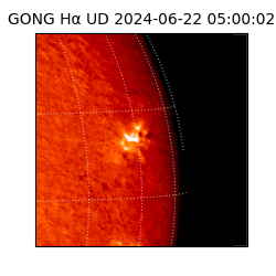 gong - 2024-06-22T05:00:02