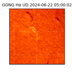 gong - 2024-06-22T05:00:02