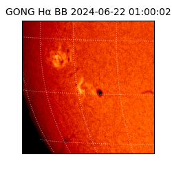 gong - 2024-06-22T01:00:02