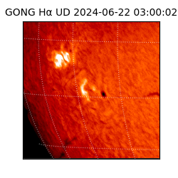 gong - 2024-06-22T03:00:02