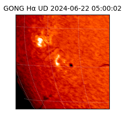 gong - 2024-06-22T05:00:02