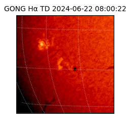 gong - 2024-06-22T08:00:22