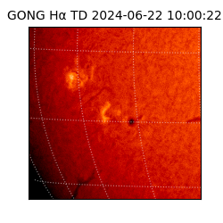 gong - 2024-06-22T10:00:22