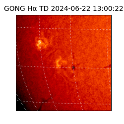 gong - 2024-06-22T13:00:22