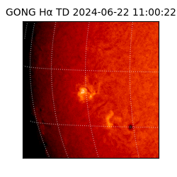 gong - 2024-06-22T11:00:22