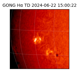 gong - 2024-06-22T15:00:22