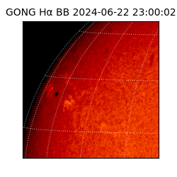 gong - 2024-06-22T23:00:02