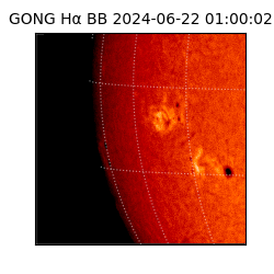 gong - 2024-06-22T01:00:02