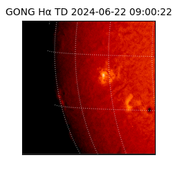 gong - 2024-06-22T09:00:22