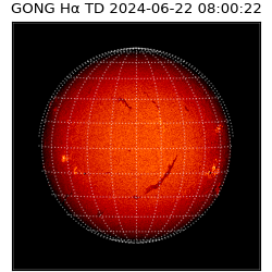 gong - 2024-06-22T08:00:22