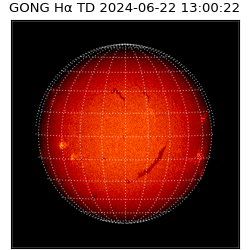 gong - 2024-06-22T13:00:22