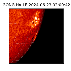 gong - 2024-06-23T02:00:42