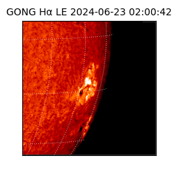 gong - 2024-06-23T02:00:42