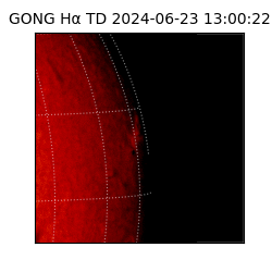 gong - 2024-06-23T13:00:22